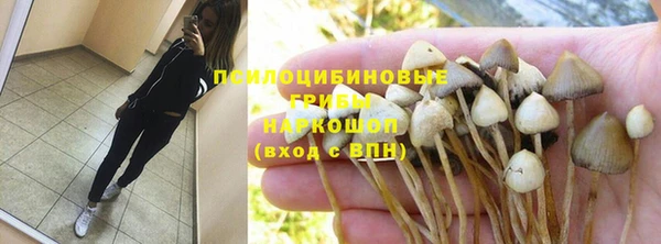 прущая мука Елабуга