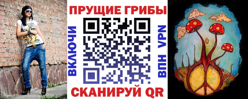 Галлюциногенные грибы Psilocybe Купить где Приозерск
